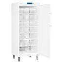 Liebherr GG 5210 | Commercial freezer