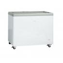 IC310D | Ice cream freezer