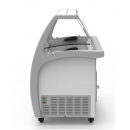 SIC4WB | Ice cream counter for 5 flavours