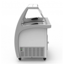 SIC9WB | Ice cream counter for 9 flavours